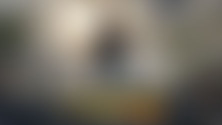 JOURNEY THROUGH THE UNDEAD EN INGLÉS PC