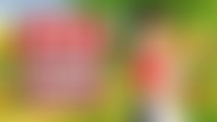 FOOD PARK MANAGER EN ESPAÑOL PC