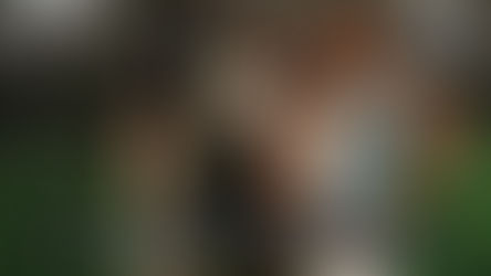 UNEXPECTED CONSEQUENCES EN ESPAÑOL PC