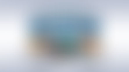 SKYLANDERS - SPYRO'S ADVENTURE EN ESPAÑOL PC