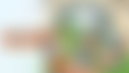 MYSIMS KINGDOM EN ESPAÑOL PC