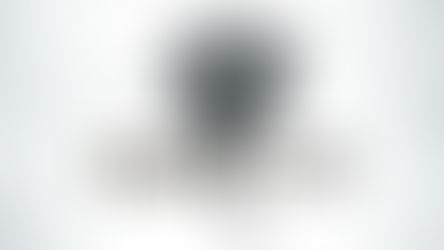 PERPETUO EN ESPAÑOL PC