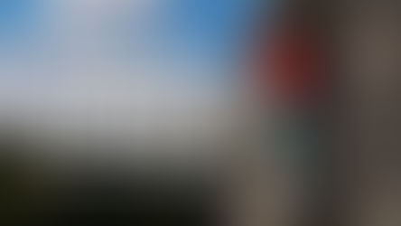 NEW HEIGHTS: REALISTIC CLIMBING AND BOULDERING EN ESPAÑOL PC