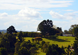 Beechmont+2011+(38).JPG