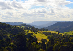 Beechmont+2011+(40).JPG
