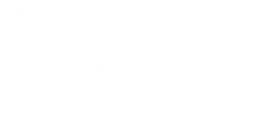 Crooked Cub_edited.png