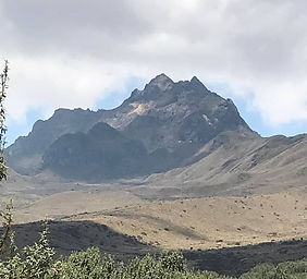MONTE
