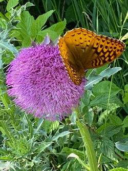 193901351_10220346889647016_8033539874651610966_n