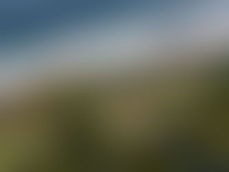 Our Top 10 Favorite Wedding Venues in Bali