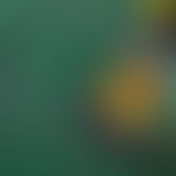 6 tips para lograr una alimentación balanceada