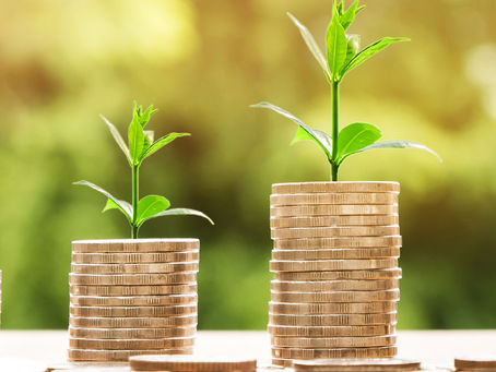 4 inversiones para cuidar tu dinero