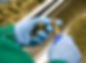 cannabis_eu_gmp_processing_edited_edited.jpg