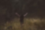 Person Standing On A Field With Arms Outstretched