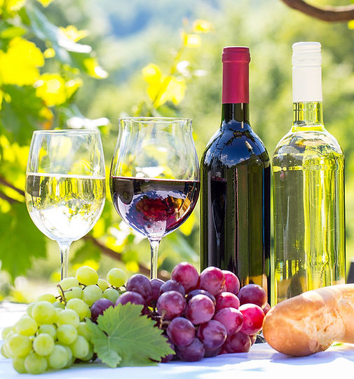 vinos.jpg