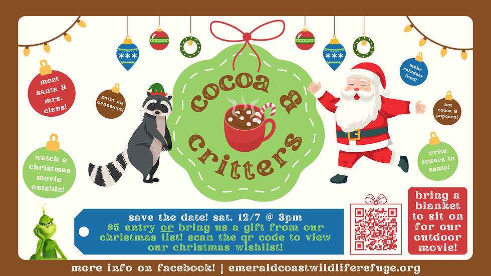 Cocoa & Critters