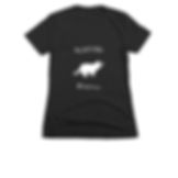 Women's Slim Fit Tee (C)