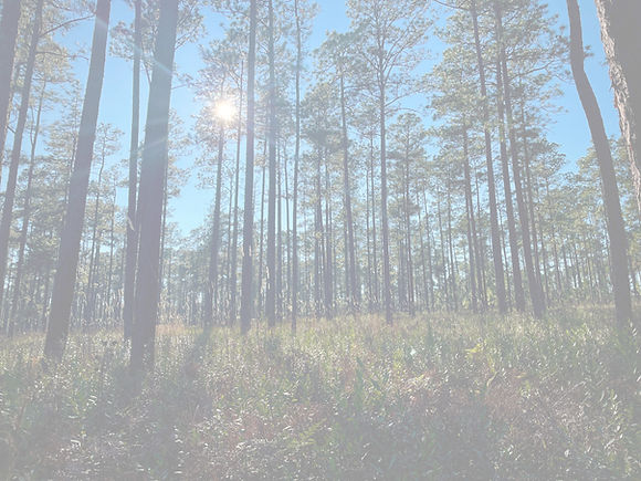 2022-01-03 14_11_06_edited.jpg