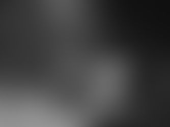 Llega Cronopio Ensamble al Museo de la Ciudad con Creación de las Aves