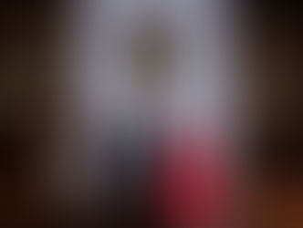 En Querétaro se continuará trabajando por la protección y el auxilio animal: Gobernador