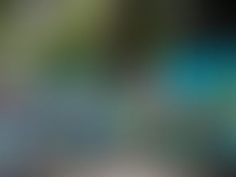 Supervisa Roberto Cabrera limpieza en Paseo de los Abuelos; recolectan más de 2 toneladas de basura y naturaleza