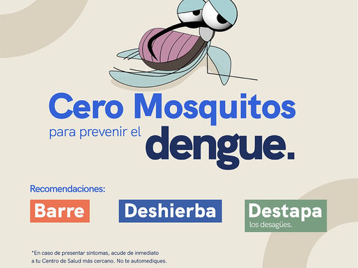 La SESA lleva a cabo vigilancia epidemiológica del dengue