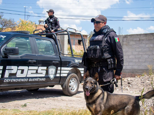 Policía Estatal de Querétaro en el Top 10 nacional en confianza y desempeño