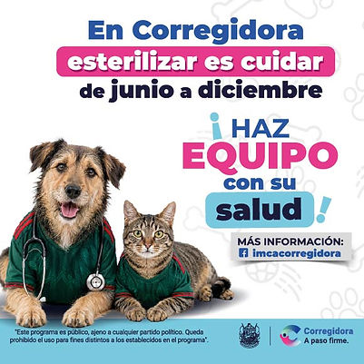 NUEVAS QRO_580x580px_ESTERILIZACIÓN.jpg
