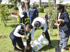 Obtiene UNAQ certificado como Ecoescuela por su compromiso ambiental