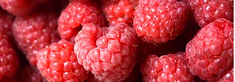 image (10).png