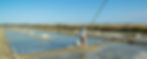 Joncheray 2015 - noirmoutier-ile-8714 (2)3