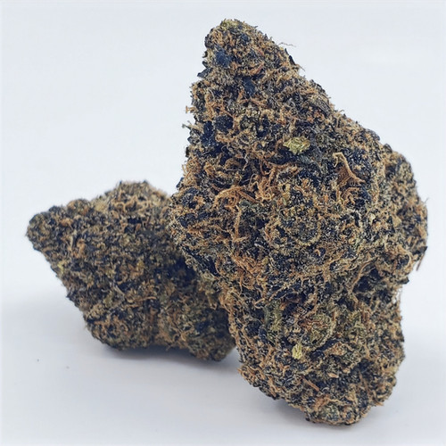 Grape SEED 1〜26 / 12〜26 ZKZ | House of Cultivar