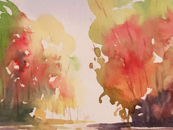 L’organisation d’une confusion