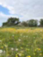 lannock-retreat-summer-1.jpg