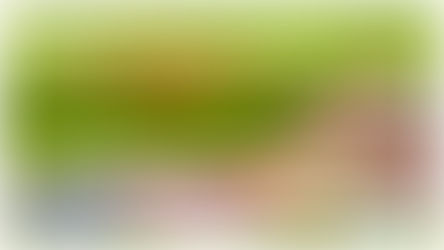 PIQUENIQUE DE VOZES AMIGAS DE ESPERANÇA DE PORTUGAL 2023