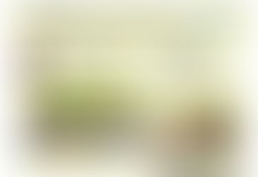 "A SAÚDE EMOCIONAL, O MELHOR PROGRAMA DE FELICIDADE FAMILIAR"