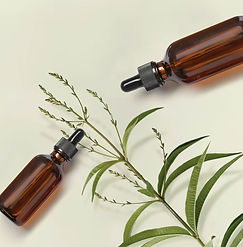 magic-of-bach-flowers