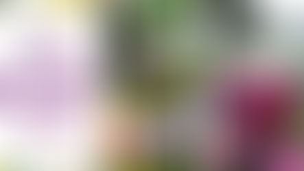 Mostre mercato 15-16-17 Aprile 2016: da Bologna a Arezzo a Bassano del Grappa.