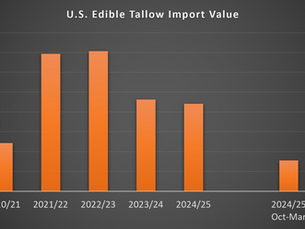 bar chart showing US edible tallow import by volume and value between 2020/21 and 2025/26 with comparison of 6 months for the last two years