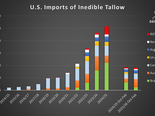 U.S. Tallow Imports: From Afterthought to Global Demand Driver (22 April 2026)