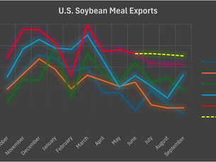 U.S. Soybean Meal Exports: Strong Finish and Promising Look Ahead (25 August 2025)