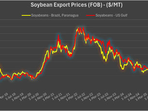 U.S. Soybean Export Momentum Fades (13 November 2025)