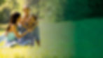 Parque Dos Pássaros KV_edited.jpg