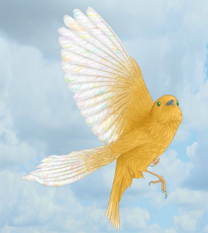 Canari-NephilimFanArt