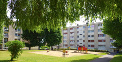 bIMGP3988