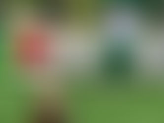 Freestyle Performance bei der kipp Group in Sulz