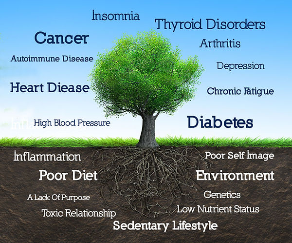 functional-Tree-New.jpg