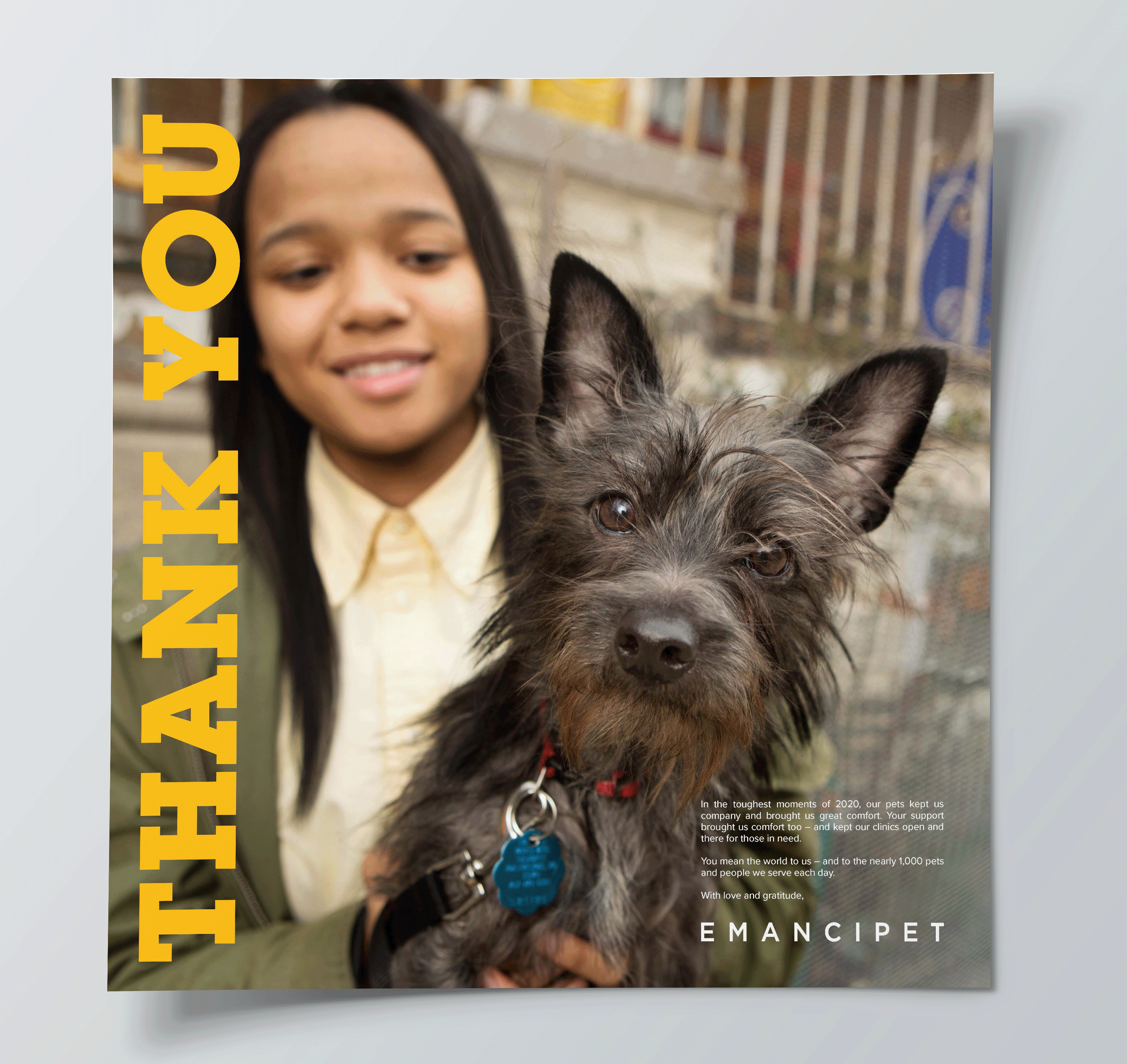 EMANCIPET IMPACT REPORT