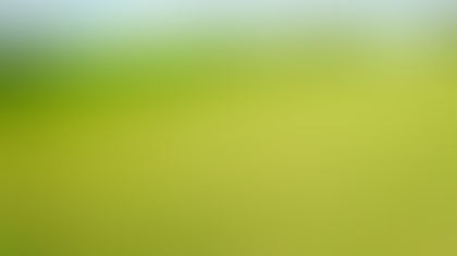 Is The Grass Really Greener On The Other Side?