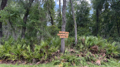 Etoniah Preserve