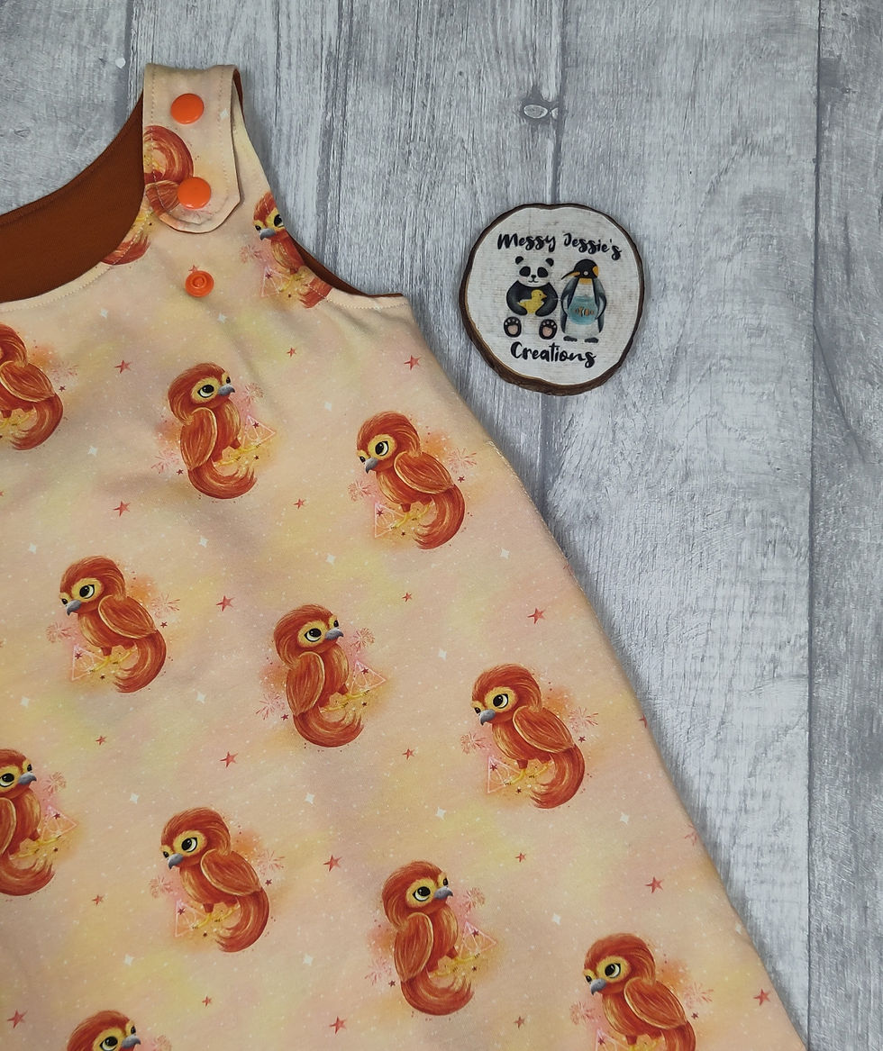 Thumbnail: GWM 6-18m romper Felix the Phoenix 